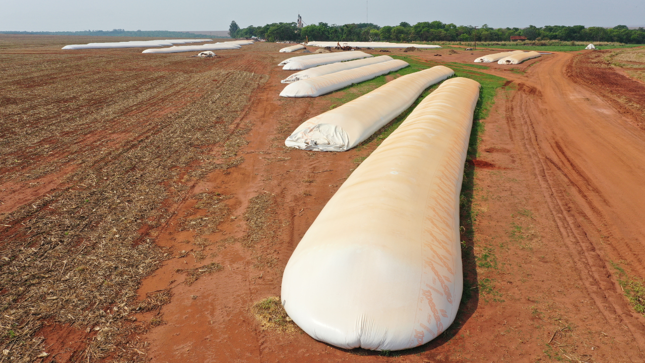 La compañía diseñó productos para acompañar cada ciclo productivo y brindar soluciones frente a los riesgos climáticos, logísticos y sanitarios que atraviesa el agro nacional.