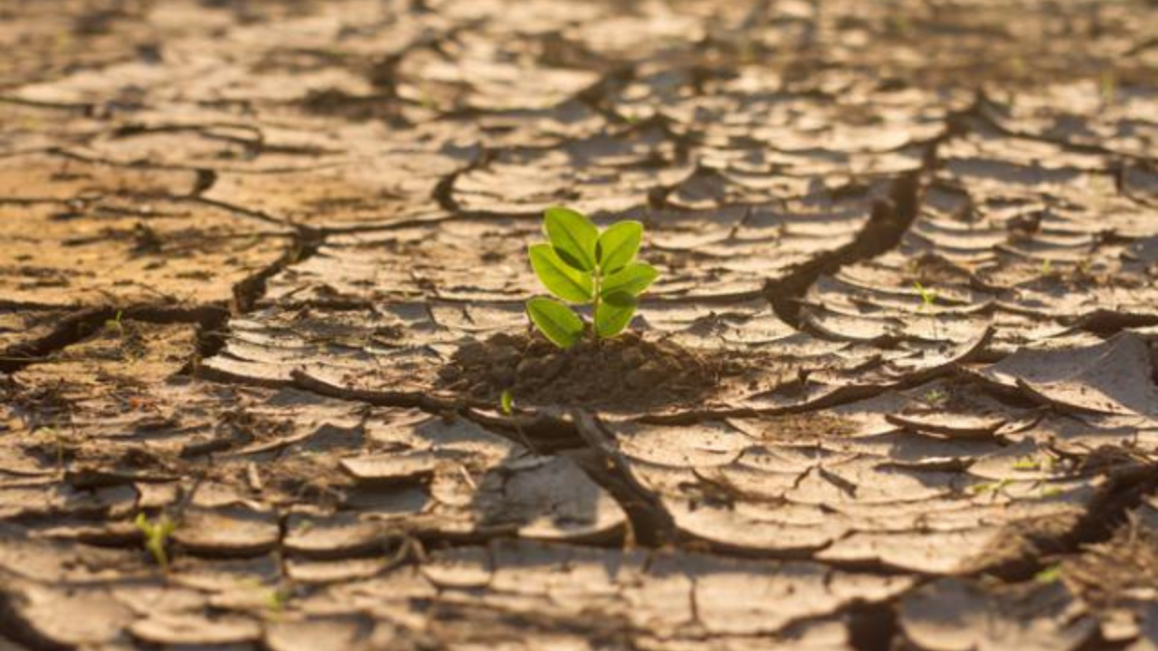 En 2022, según el informe Sigma de Swiss Re, los seguros cubrieron cerca del 45 % de los 275.000 millones de dólares de pérdidas económicas mundiales derivadas de catástrofes naturales. 