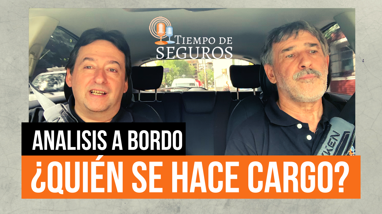 En nuestro ciclo de "Análisis a Bordo" tomamos un reciente caso ocurrido en la ciudad de Santa Fe, donde con motivo de la refacción de una vivienda debía removerse una palmera, la cual tenía enganchados cables de telefonía y al cortar los mismos se cayó un poste (y el obrero colgado del mismo) sobre un auto estacionado. Susto con suerte -el operario solo tuvo lesiones leves- pero el auto, que estaba vendido y se entregaba el día siguiente, arruinado.