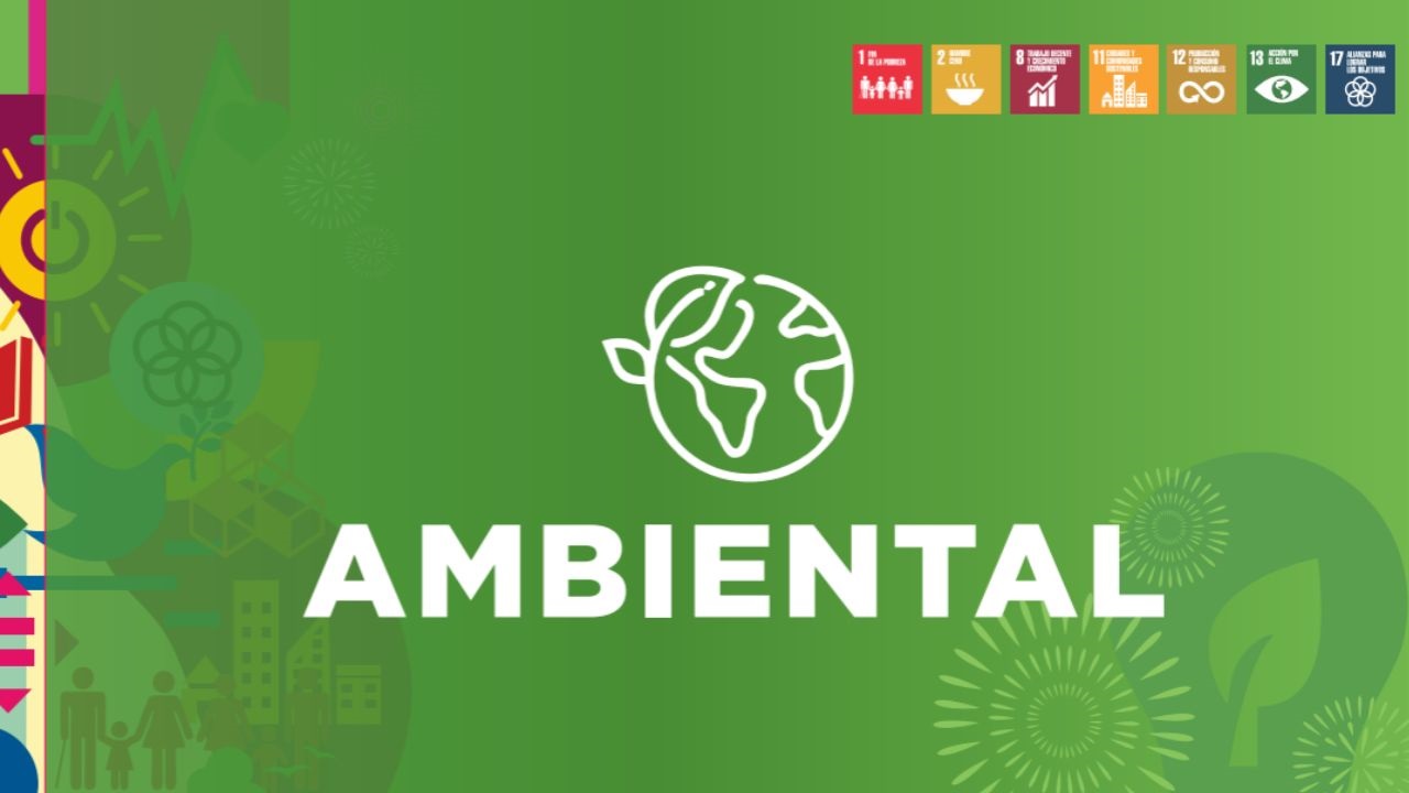 La compañía destaca su compromiso sostenido con la gestión ambiental, consolidado a lo largo de más de una década de trabajo.