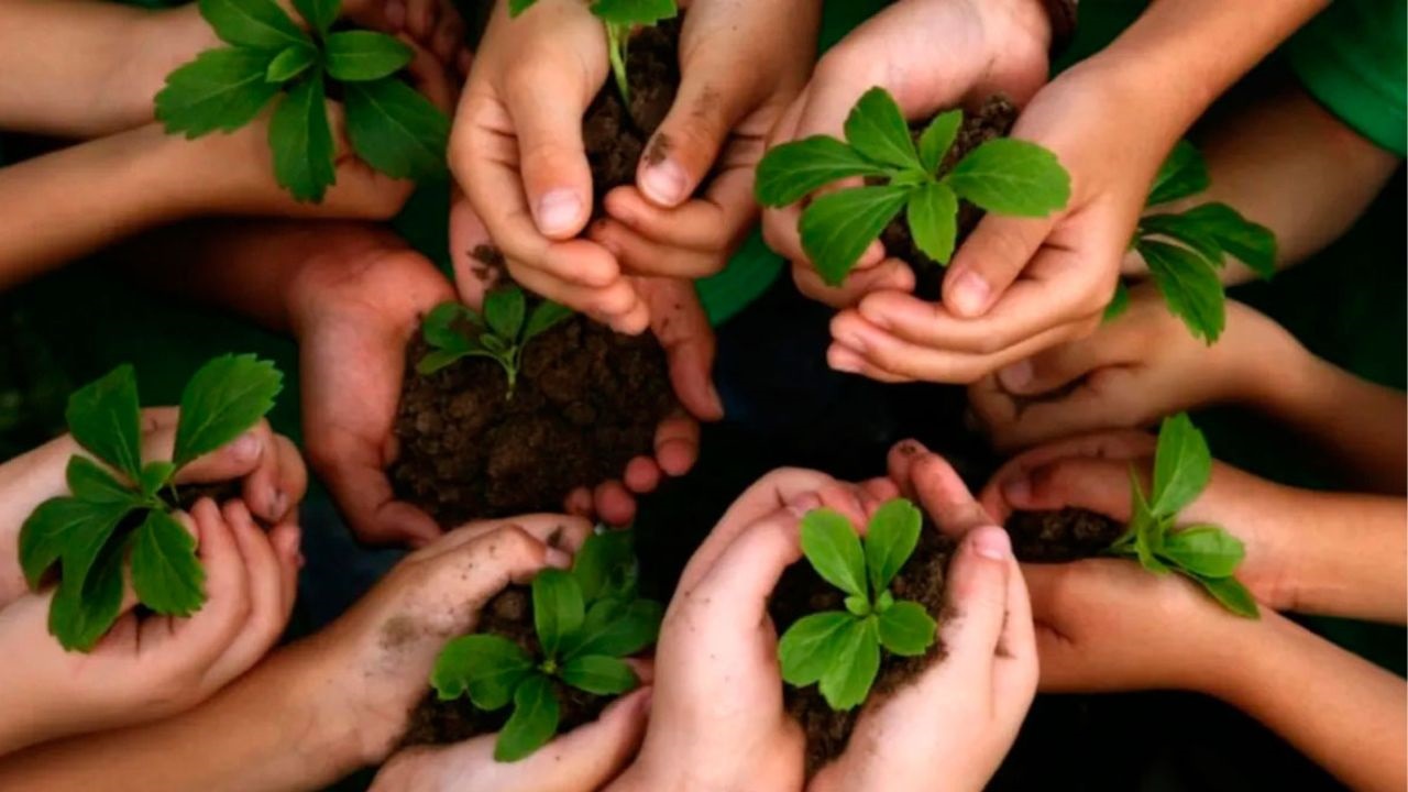 Grupo Sancor Seguros comparte algunas de las iniciativas que llevan adelante para contribuir al cuidado del ambiente y a un futuro más sostenible.