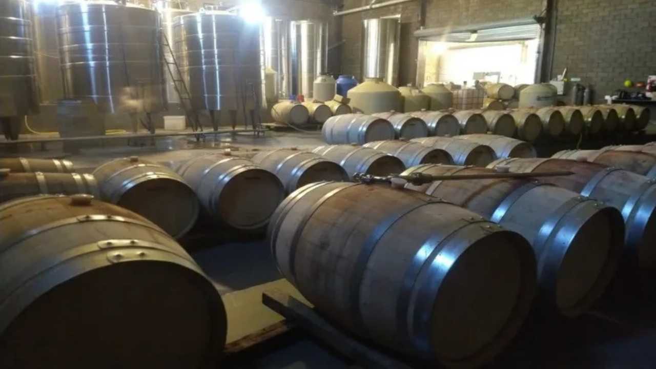 Un grupo comando robo toda la instalación eléctrica, barricas de roble, herramientas, máquinas y varias botellas de vino de la bodega Fincas del Limay.