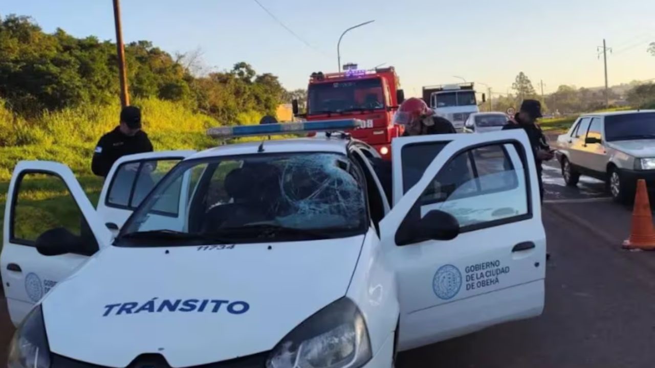 Alejandro Goiris, inspector de tránsito de 63 años de la Municipalidad de Oberá, Misiones, murió este miércoles luego de 78 días de internación a causa de las graves heridas que sufrió el 19 de mayo pasado, cuando una pieza de hierro se desprendió de un camión que transportaba chatarra y atravesó el parabrisas del vehículo oficial en el que circulaba.