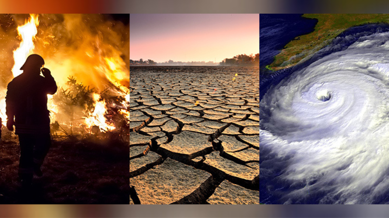 Durante las conferencias se abordaron temas desde cómo reducir los riesgos de la innovación hasta cómo impulsar la adaptación y la resiliencia.