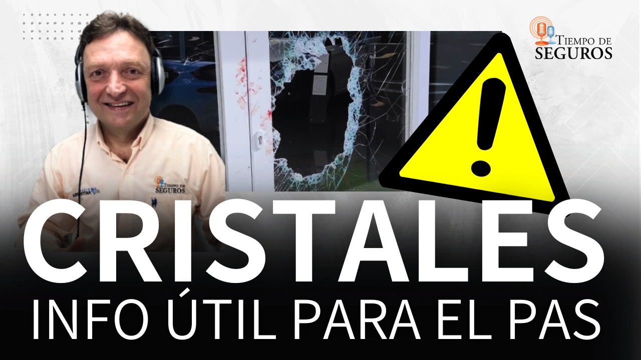 Pasaron 8 meses desde el último reporte y por eso actualizamos este informe que es una verdadera nota/servicio para los colegas: una cobertura de inclusión habitual en riesgos integrales.