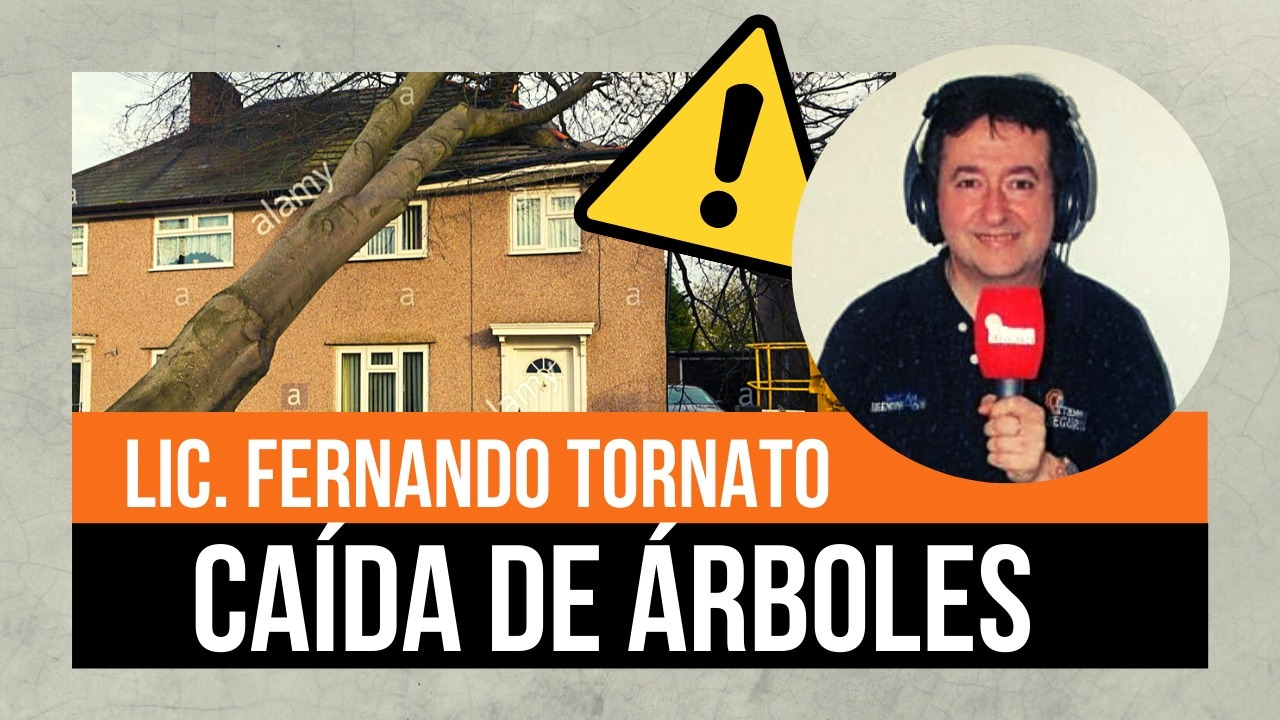 ¿Qué ocurre cuando un árbol de un asegurado cae sobre el predio lindero? ¿Es lo mismo si cae sobre el auto, la vivienda del vecino o una persona? ¿Qué se cubre y qué no? ¿Hay una exclusión, pero la misma puede cubrirse? ¿Es lo mismo el supuesto en RC Hechos Privados que en RC Comprensiva?.