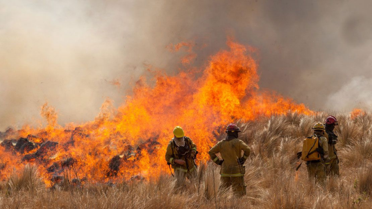 Esperaba para cargar maíz en su camión, en la localidad de Ordóñez. Con su accionar, incendió 24 silos bolsa, dos campos y esas más de 100 hectáreas. Fue condenado a tres años de ejecución condicional.