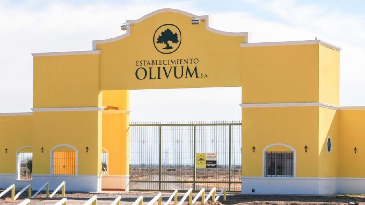 El hombre, oriundo de Rodeo de la Cruz, realizaba tareas habituales en una olivícola cuando un cable se cortó violentamente y lo golpeó con fuerza en la pierna. En el hospital tuvieron que amputarle la extremidad.