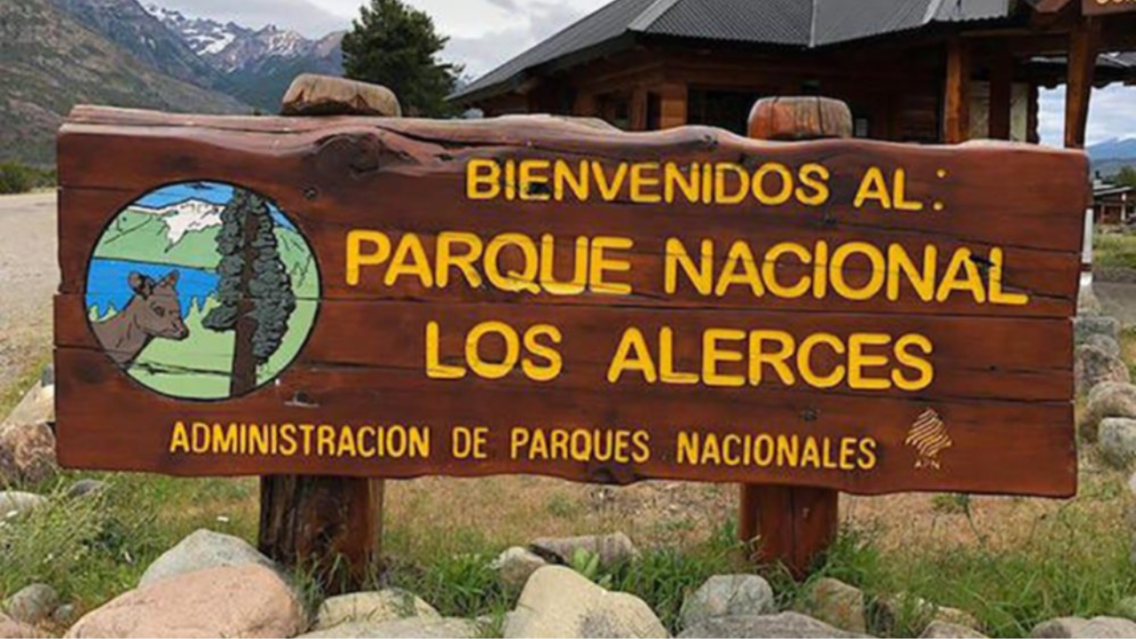 los concesionarios, permisionarios y guías deberán presentar ante las Intendencias, las pólizas de seguros o sus adendas de conformidad a las exigencias y requerimientos establecidos en el Reglamento aprobado por la presente, dentro de los TREINTA (30) días de su publicación.