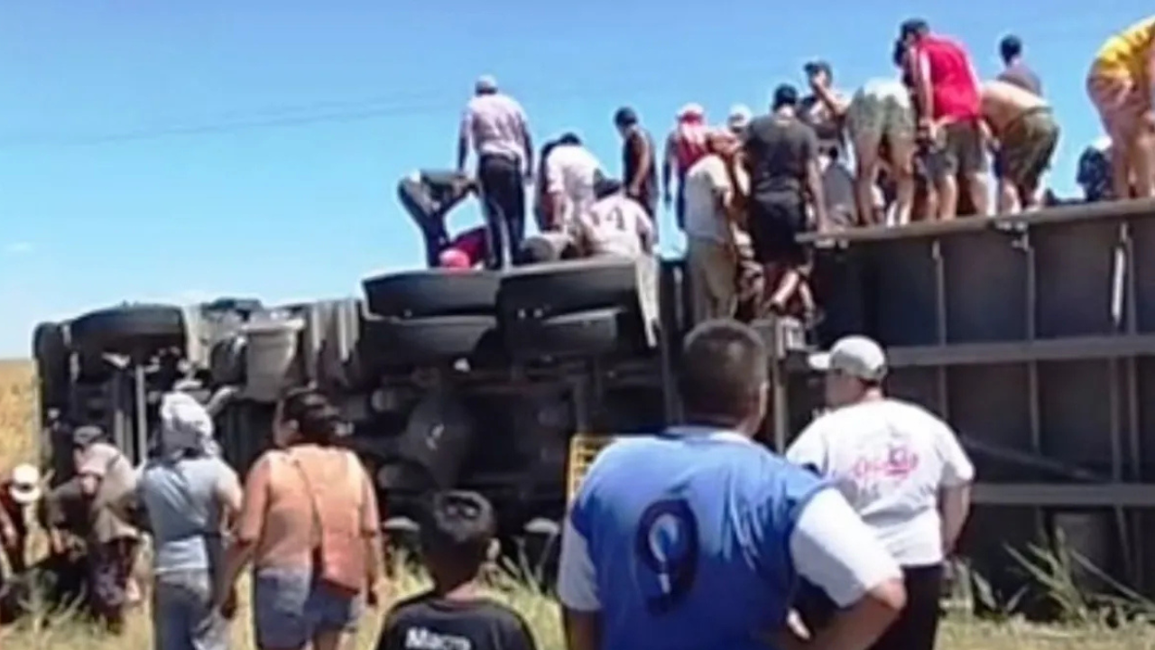 Un accidente insólito y millonarias pérdidas: vecinos faenaron vacas en la ruta nacional 8 tras el vuelco de un camión con ganado. La policía tuvo una intervención limitada mientras el caos se apoderaba del lugar.